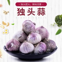 云南農(nóng)家新鮮蔬菜紫皮大蒜獨(dú)頭蒜干大蒜白皮大獨(dú)蒜土蒜現(xiàn)貨直發(fā)（價(jià)格面議）