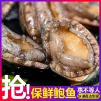 鮑夫人 批發(fā)AAA400g裝 帶殼活凍鮑魚(yú) 6頭凍鮑魚(yú) 熟凍鮑魚(yú)真空包裝  2盒起批