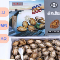 工廠直供鮑夫人去殼去肚鮑魚肉佛跳墻原料活凍全規(guī)格鮑魚凈肉10斤  2盒起批