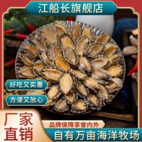 江船長(zhǎng)有機(jī)鎖鮮冷凍鮑魚(yú)肉去殼去內(nèi)臟65粒裝500g連江海鮮廠家直銷(xiāo)  20盒起批