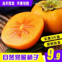 【順豐】脆柿子新鮮水果10整箱斤當(dāng)季現(xiàn)摘巧克力柿子脆甜硬柿包郵 2斤起批