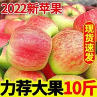 [22年頭茬新蘋果】脆甜紅蘋果早熟紅富士水果新鮮當(dāng)季3/5/10斤裝 2箱起批