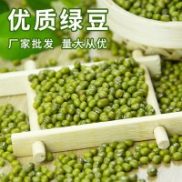 綠豆農(nóng)家五谷雜糧發(fā)豆芽綠豆散裝解暑綠豆湯綠豆種子熬煮豆類 批發(fā)