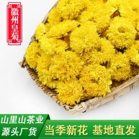 當季新花廠家直銷徽州皇菊批發(fā)散裝菊花茶婺源皇菊球菊休寧黃菊花