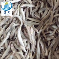 批發(fā)冷凍沙溜魚(yú)海泥鰍 新鮮冷凍玉筋魚(yú) 適合自助餐廳食堂廠家直銷