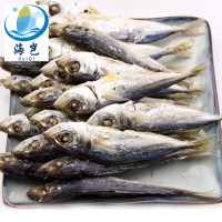 東山島海產(chǎn)魚(yú)干 淡于吧浪魚(yú)干 適合休閑食品KTV零食烹飪廠家批發(fā)