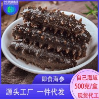 批發(fā)鮮蒸即食海參鮮冷凍大連海參中科水產(chǎn)廠家獐子港即食海參