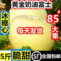 煙臺(tái)黃金奶油富士蘋果糖心當(dāng)季整箱山東棲霞白蘋果禮品盒   3盒起批