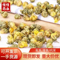 桐鄉(xiāng)胎菊王 黃金菊干花 無硫蘇杭州白菊花草茶野菊花散裝現(xiàn)貨批發(fā)