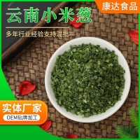 廠家供應(yīng) 云南小米蔥 短切脫水小香蔥 脫水香蔥圈 管狀細(xì)香蔥圈