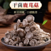 產(chǎn)地新鮮鹿茸菇500克 云南特產(chǎn)食用菌不開傘鹿茸菇新鮮蘑菇批發(fā) 2盒起批