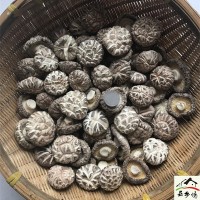 白花菇干貨500g包郵西峽特產(chǎn)農(nóng)家干香菇新品椴木出口大小花菇