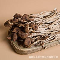 天天源 禮盒裝茶樹菇135g 古田干貨茶樹菇煲湯食材菌菇類香菇批發(fā)