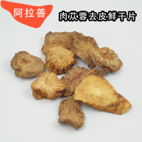 肉蓯蓉鮮干片 內(nèi)蒙古阿拉善肉蓯蓉 鮮切片 荒漠肉蓯蓉 帶菊花紋