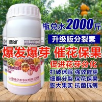 1000毫升多肉植物細(xì)胞分裂素催芽劑促花促生長(zhǎng)?；ū９~面肥正品