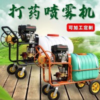 批發(fā)汽油打藥噴霧機(jī) 手推養(yǎng)殖場消毒噴藥機(jī)小型園林高壓噴藥車