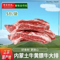 首菜首家黃膘牛大排骨斤/件冷凍食品草飼牛腱牛腩牛肉批發(fā)