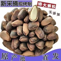 新貨東北開口松子大顆粒袋裝500g新炒松子堅(jiān)果零食特產(chǎn)批發(fā)松子