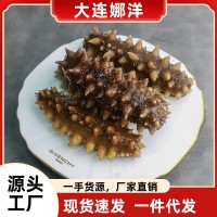 即食刺參海參大連特產(chǎn)遼參500g鮮活滲干貨大連海參盒裝特價