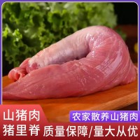 廠家直供阿文特種山豬肉豬里脊現(xiàn)殺冷鏈運(yùn)輸肉質(zhì)鮮嫩山豬肉豬里脊