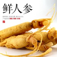 批發(fā)新鮮人參 長白山特產(chǎn)人參泡酒煲湯人參 東北特產(chǎn)人參一件代發(fā)